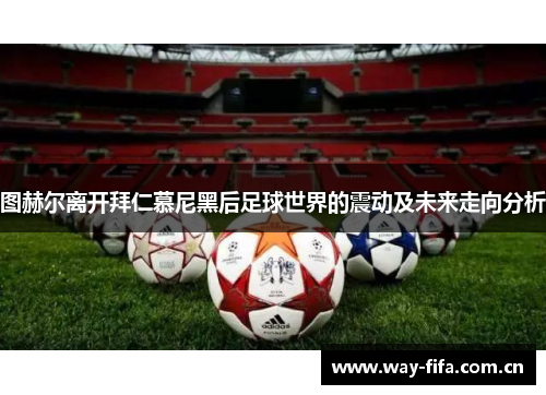 图赫尔离开拜仁慕尼黑后足球世界的震动及未来走向分析 图赫尔离开拜仁慕尼黑后足球世界的震动及未来走向分析