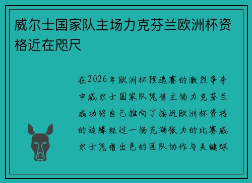 威尔士国家队主场力克芬兰欧洲杯资格近在咫尺